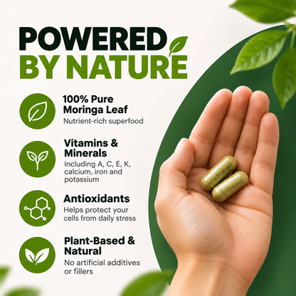 Moringa Capsules – Natural Energy & Metabolism Support